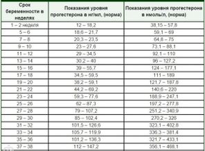 imagлрааe-1