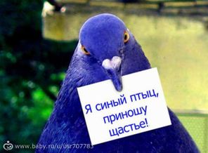 original