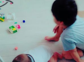 IMG_20161004_131522668