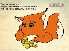 1359090659_kroshka-shi-18