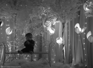 IMG_20151230_223831_10
