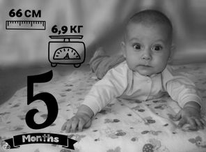 2016-12-02-18-57-53.jpg