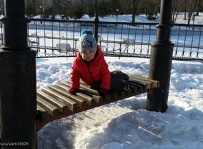 IMG-20160312-WA0008