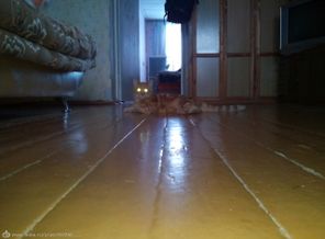 IMG_20160116_141037