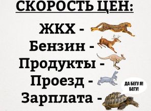 BPqCGa9kIjc