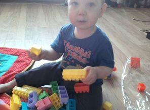 IMG_20170123_233456_660