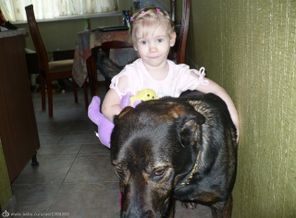 первые дни дома