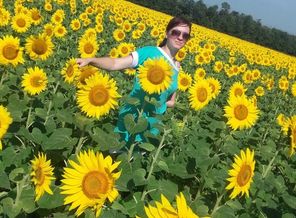IMG_20160703_224748