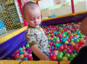 IMG_20160523_114950.jpg