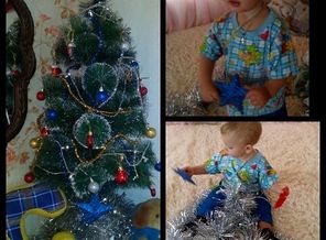 IMG_20161218_150232