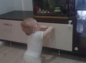 IMG-1459431422526-V