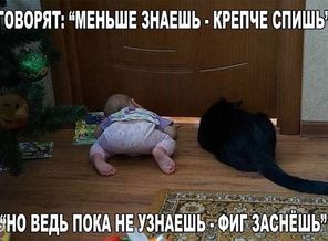 AKBsC67ukHE
