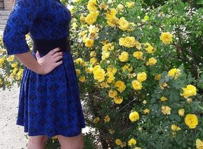 IMG_20160613_200708_0
