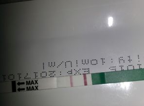 20161118_055017.jpg