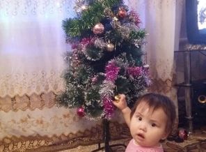 IMG-20161221-WA0006