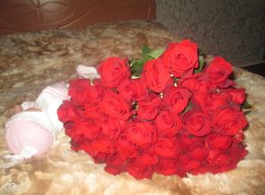 Изображение 2489