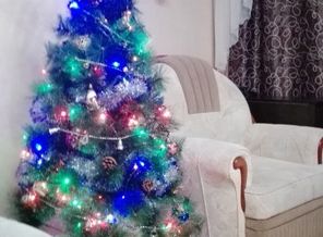 IMG_20161218_175812
