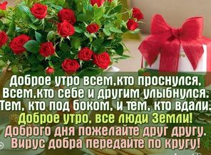 IMG_20161004_000702
