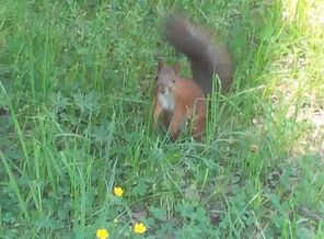 image (6)