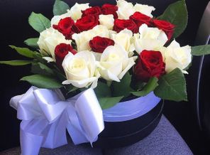 IMG_20170322_085149_77