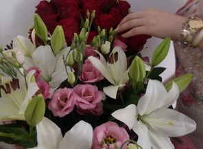 IMG_20150814_131841