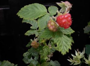 IMG_20160703_141659