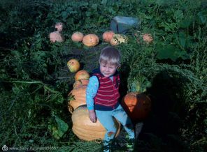 IMG_20161102_130655_3
