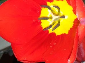 IMG-20160503-WA0004