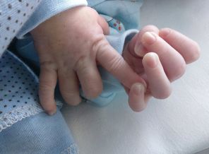 image (1).jpg