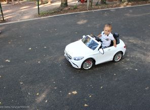 IMG_7741