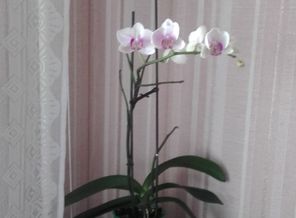 20150627_133458