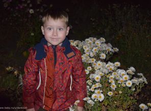 Матвейка и  хризантемы в октябре в цвету)))