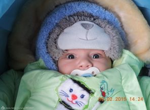 DSCN1953