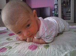 CAM00181