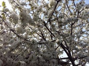 20160420_161230