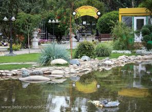 image(11)