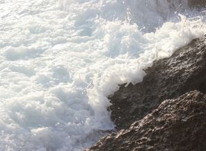 IMG_5261
