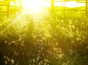 Nature_Other_Solar_morning_027996_.jpg