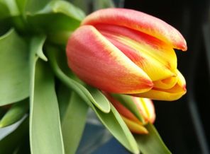 IMG_20160308_194606