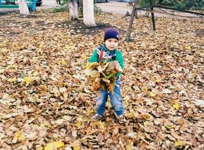 IMG_20151113_220325