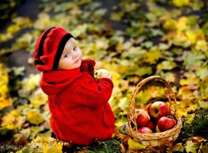 209555__apple-harvest_p