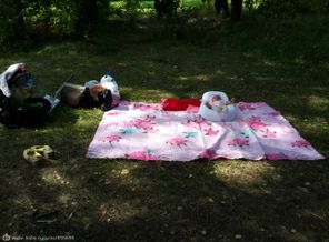 20150808_132645