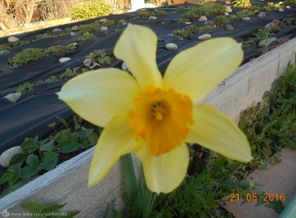 DSCN3881[1]