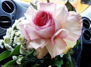 IMG_20160831_212155