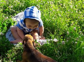 IMG-1466863834107-V