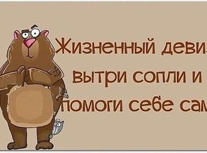 IMG_20151222_104227_9