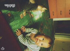 IMG_20160811_222819