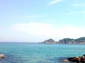 IMG_20160817_123853.jpg