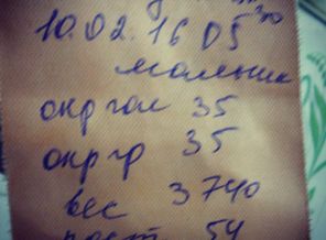 IMG_20160210_100123