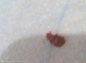 IMG_20190416_114713_762